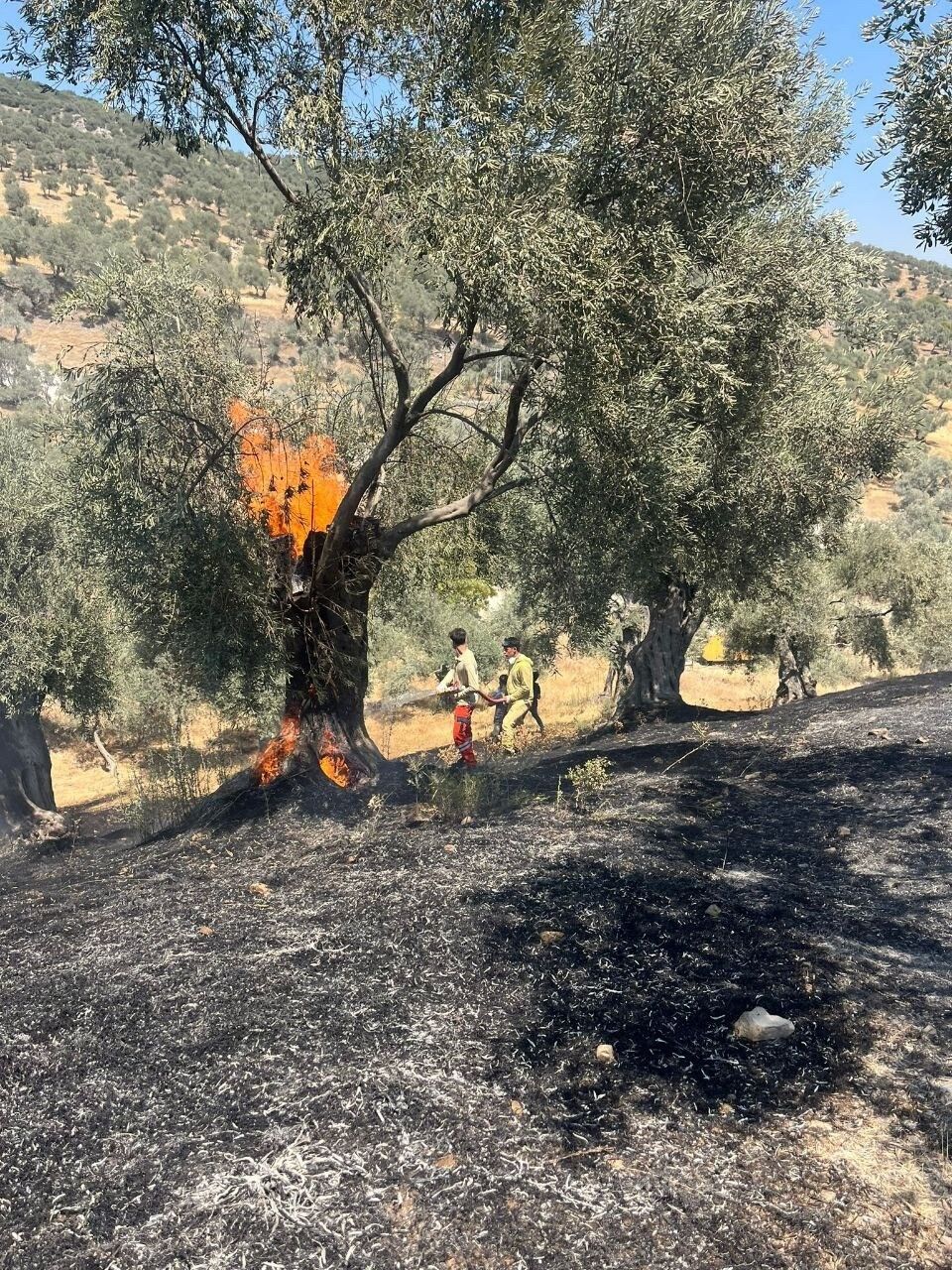 Aydın itfaiyesinden 2025’te yoğun mesai