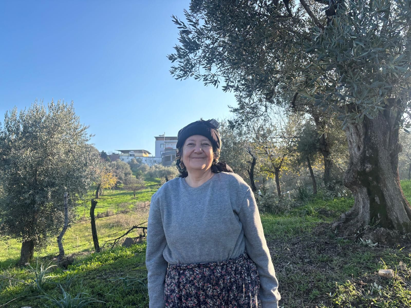 Aydın’da deden toruna zeytin mirası