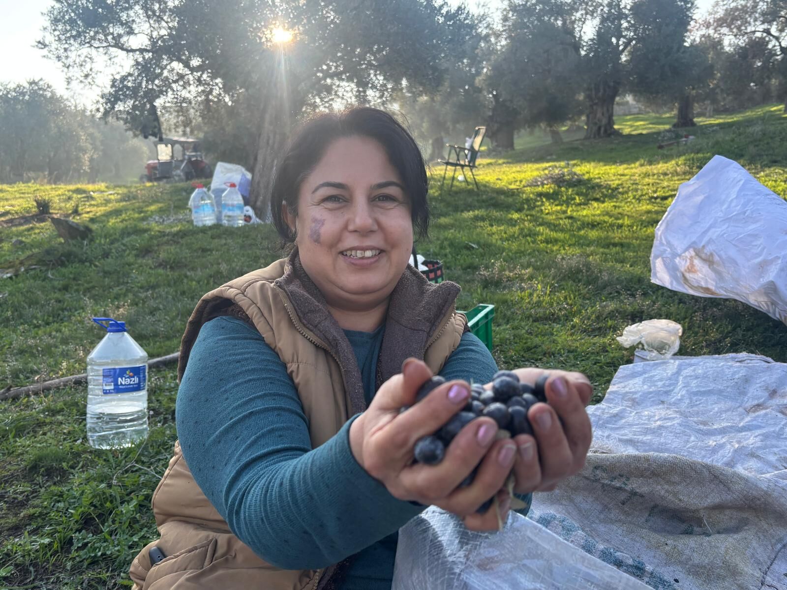 Aydın’da deden toruna zeytin mirası
