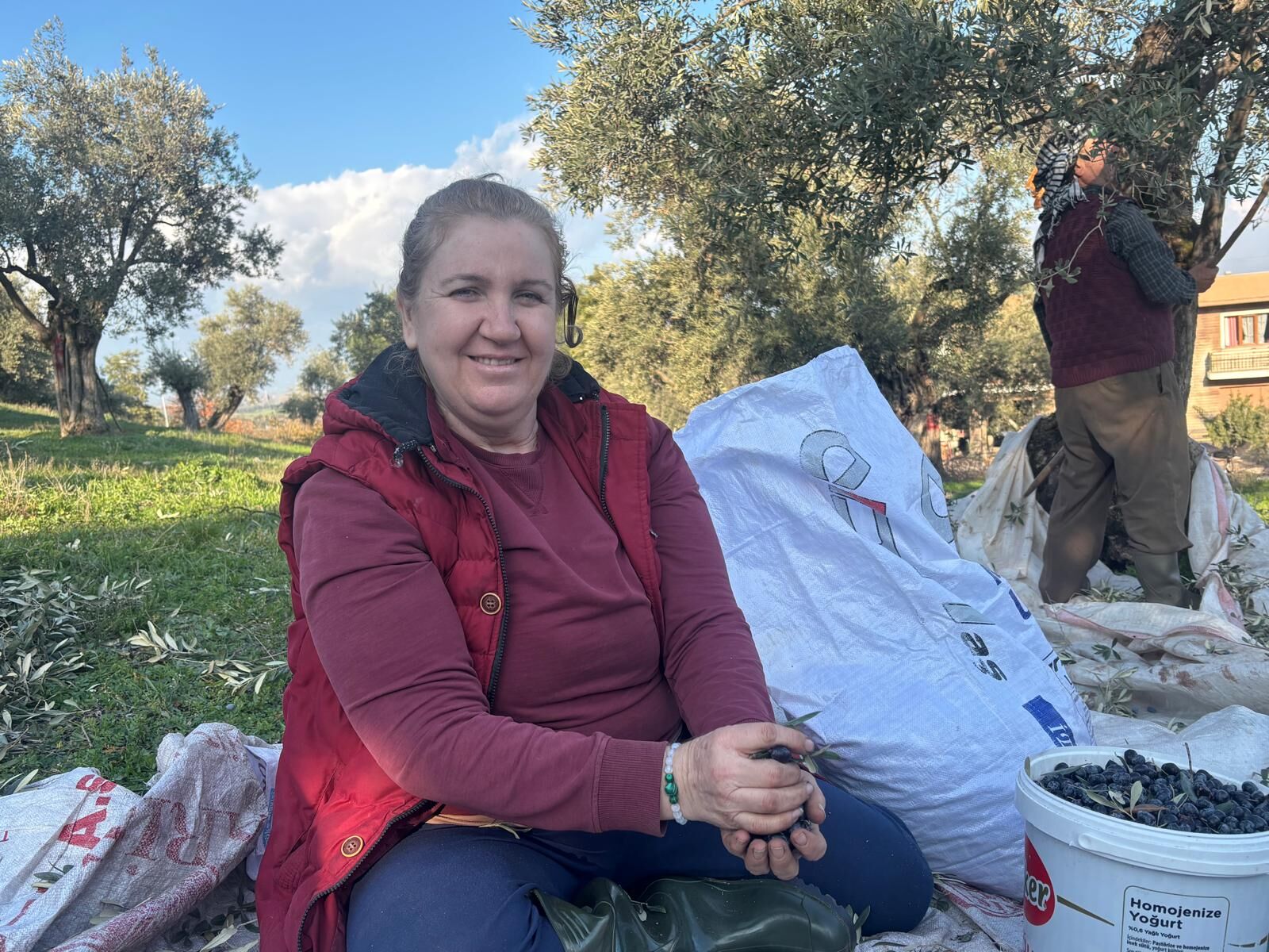 Aydın’da deden toruna zeytin mirası
