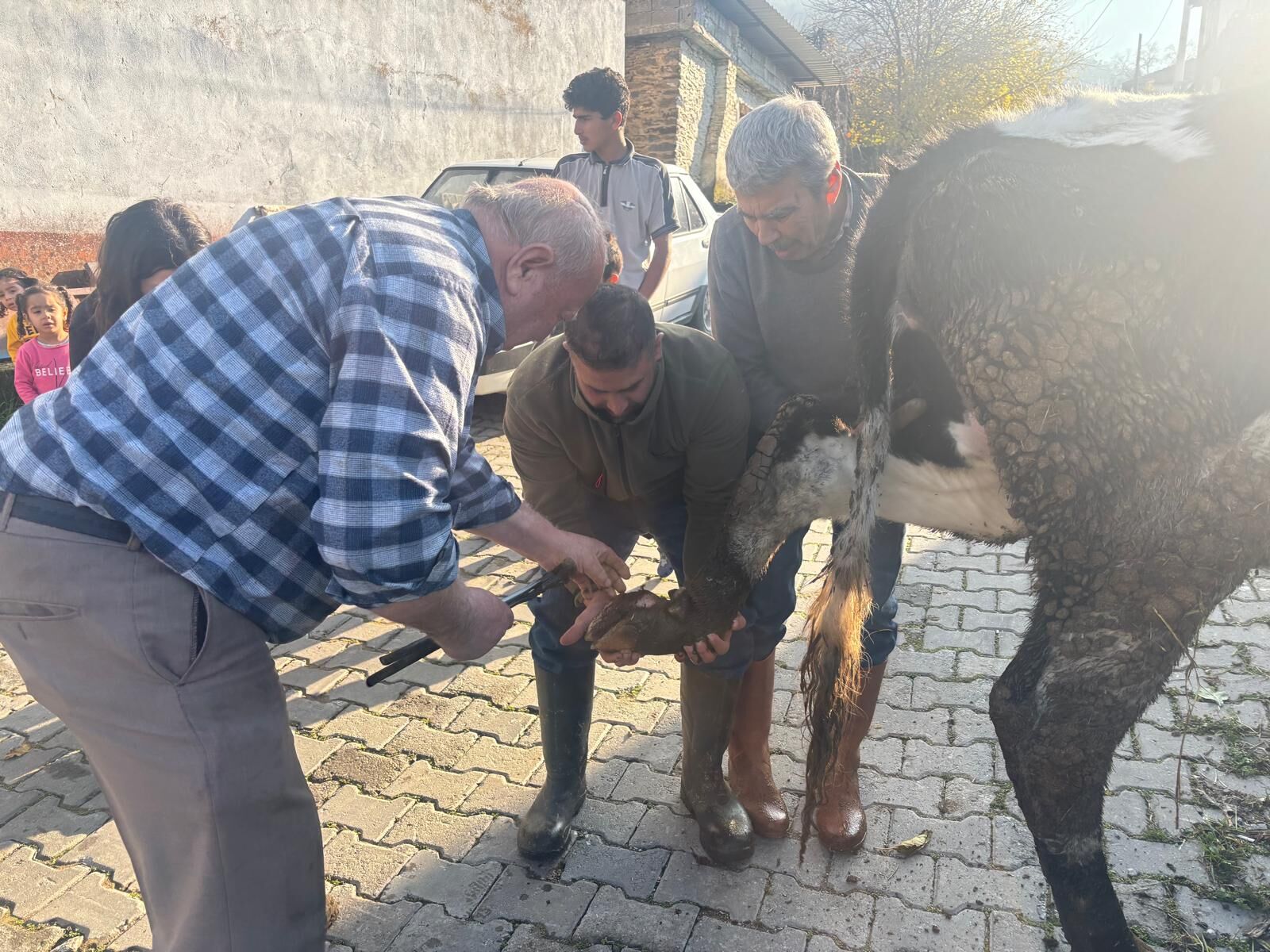Aydın’da yok olmaya yüz tutan mesleğin son ustası
