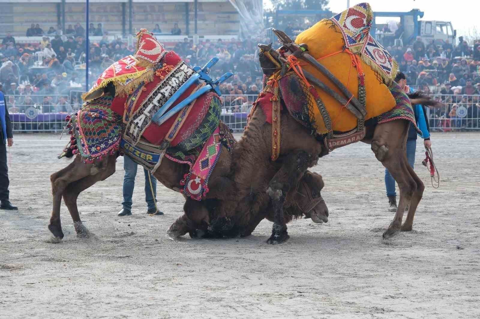 Başkan Kaptıkaçtı’dan şap hastalığı çağrısı