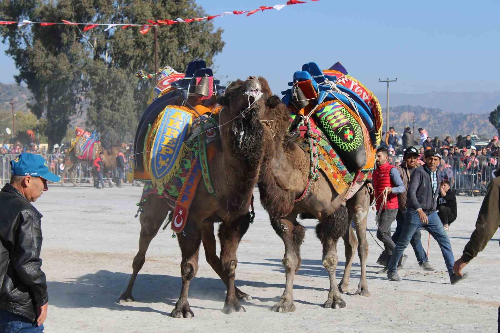 Efeler Meclisinde Deve Guresi Festivali Destegi Oylandi Aydin Buyuksehir Belediyesinden Destek Alinacak Mhp Gurubu Ret Oyu Verdi Betul 618638 Ecaa751116A99626E807Fc4A1Ff572B9