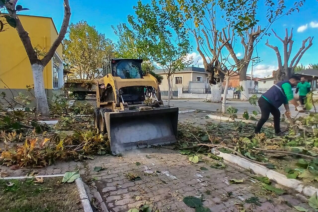 Efelerde Budama Calismalari Suruyor Olasi Kazalarin Onune Geciliyor 618437 910416689330Ab29E7F866A02637C4C4