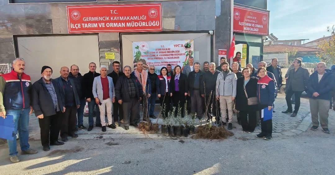 Germencik’te 4 bin fidan dağıtıldı