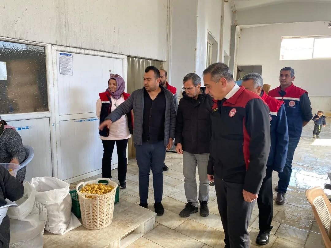 Aydın Türkiye’nin kestane lideri