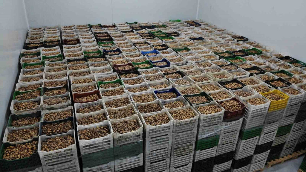 Trump’ın milyon dolarlık kartına Aydın’dan da rağbet var!