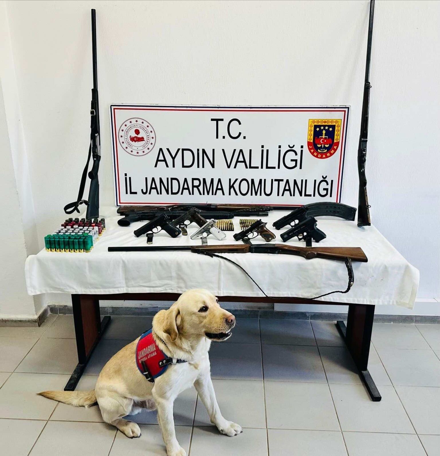 Aydın’da suç örgütlerine silah sağlıyordu! Evinden cephanelik çıkan şüpheli serbest kaldı