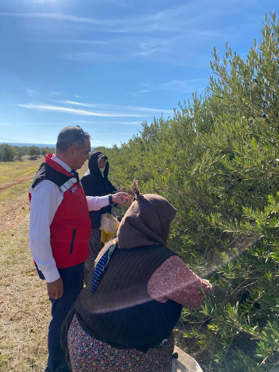 Whatsapp Image 2025 12 02 At 21.25.27 (1)