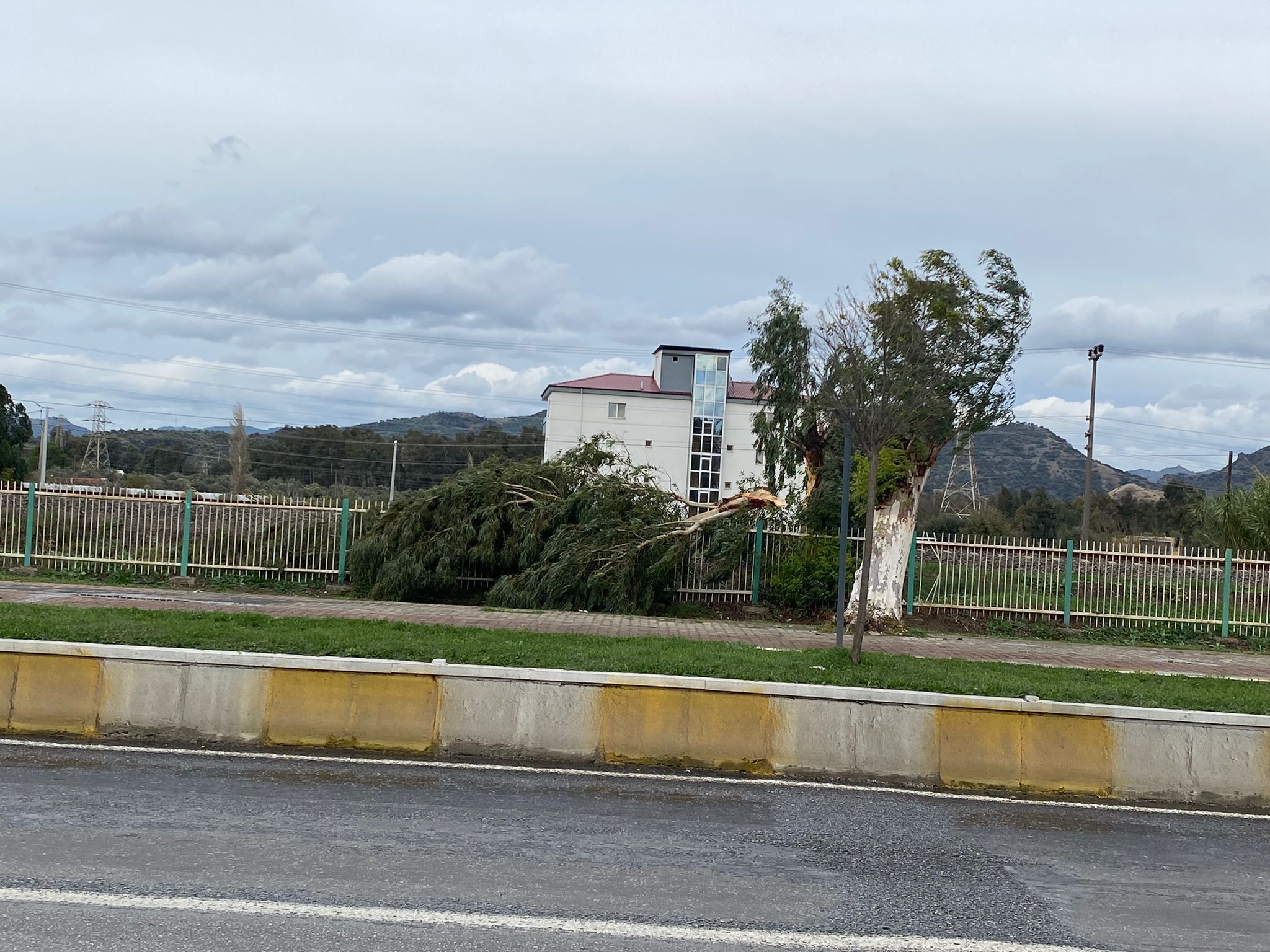 Whatsapp Image 2025 12 05 At 13.22.27