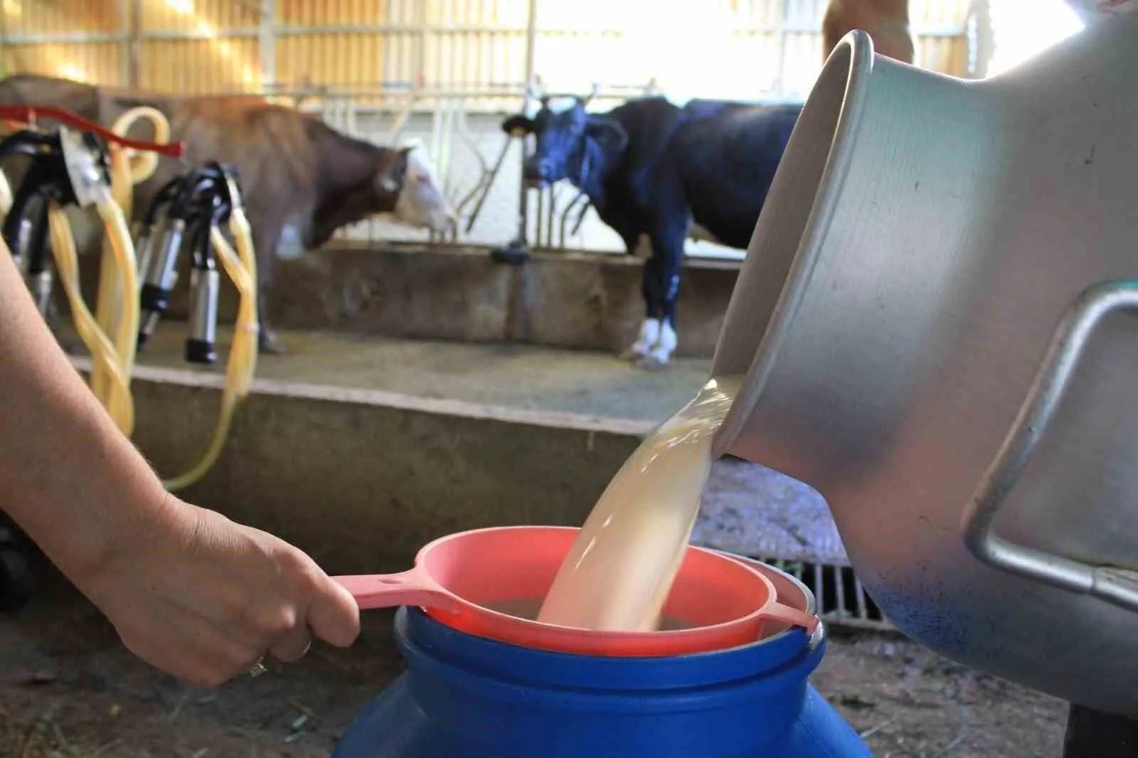 Whatsapp Image 2025 12 22 At 17.31.06