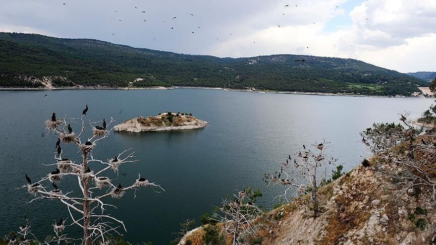 Adıgüzel Barajı