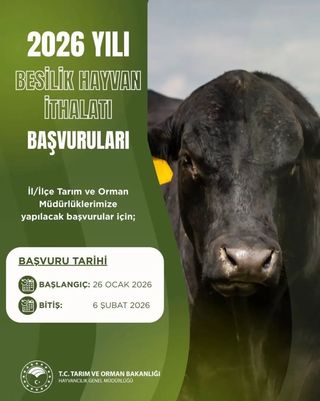 Aydinda Besilik Hayvan Ithalatinda Takvim Degisti Basvurulari Icin Yeni Tarihler Aciklandi 629196 6189B41Ced4D662578B7Fc039Ebfd9C9