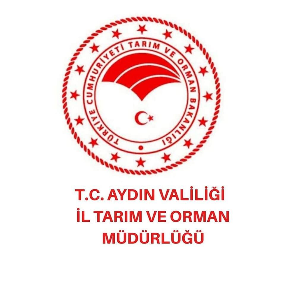 Aydın’da hayvan pazarları yeniden açılacak mı?