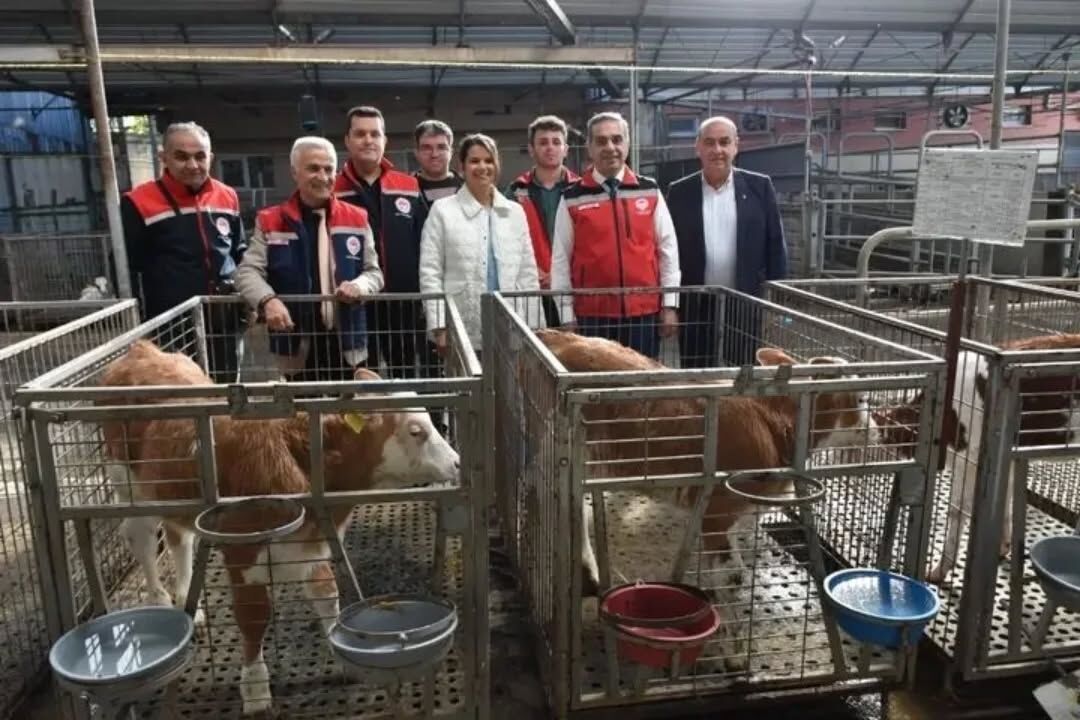 Aydın’da hayvancılığa güçlü destek