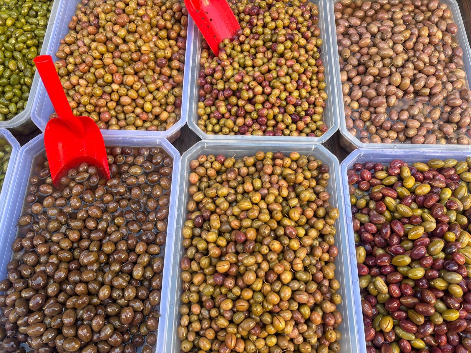 Aydinda Zeytinler Bahceden Pazara Alim Gucu Dustu Ancak Fiyat Degismedi 630076 B1Fac7Ed54Abd8053A24863580Aa78Ea