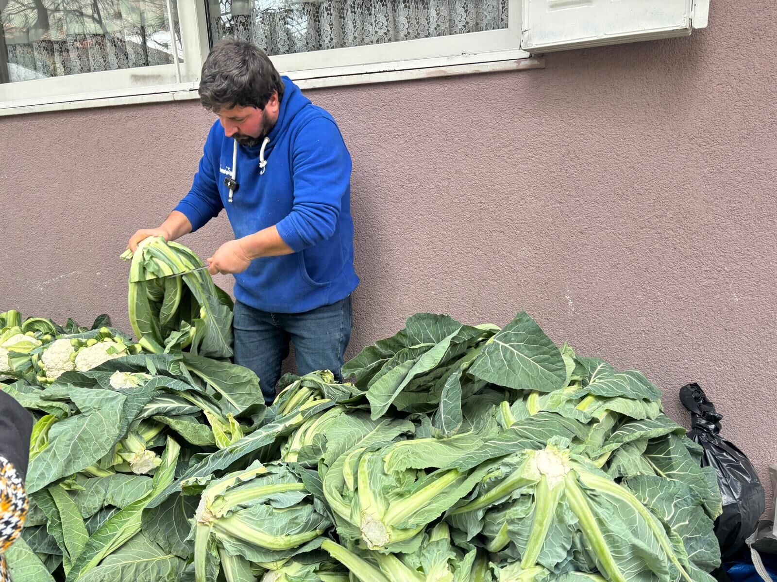 Aydinli Esnaf Urunlerini Kendi Bahcesinde Yetistiriyor Bir Bardak Cay Parasina Karnabahar 628107 9B77233470E777De6Deefbacb9E65D2B