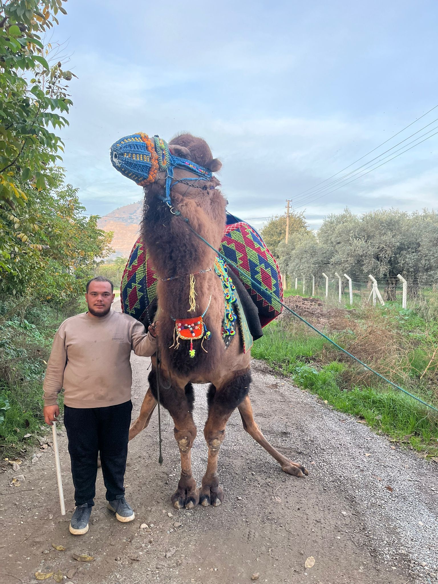 İncirliova’da devecilerin feryadı