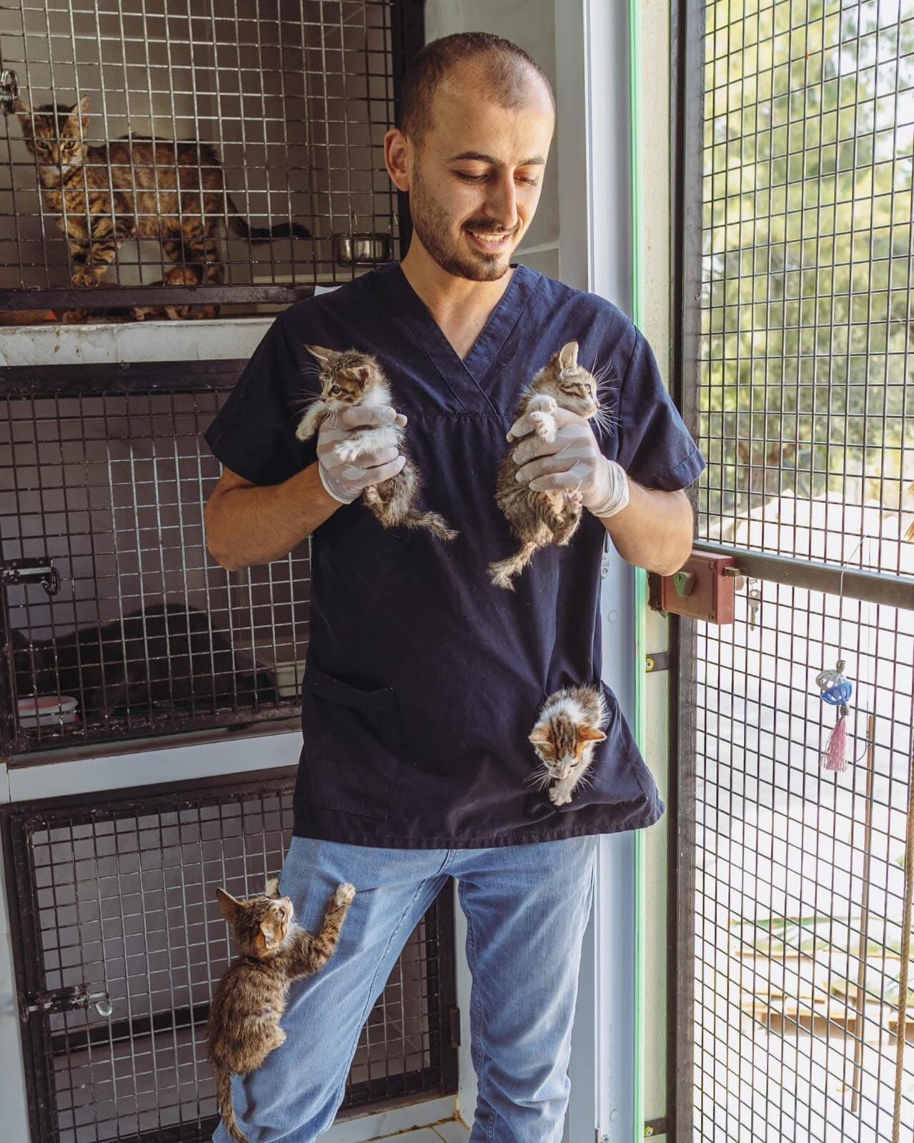 Kusadasi Belediyesi 2025 Yilinda Da Can Dostlarin Yaninda Oldu 628436 Dc07C73487A05C3F2Eb07Bc0B996Eec5