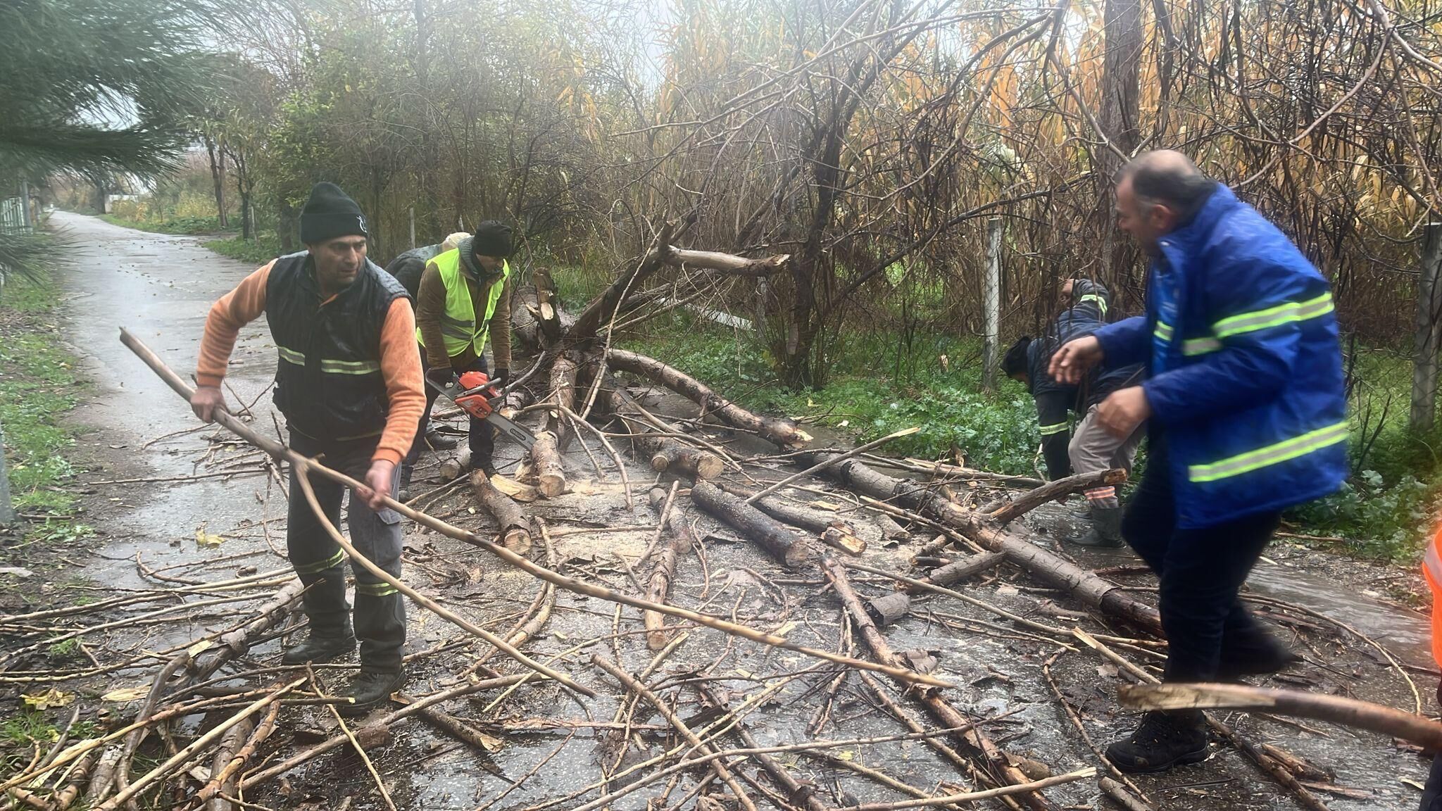 Nazilli Belediyesi’nden devrilen ağaçlara hızlı müdahale