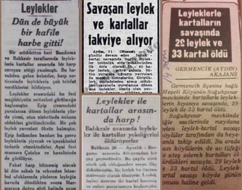 Whatsapp Image 2026 01 10 At 11.36.49 (1)