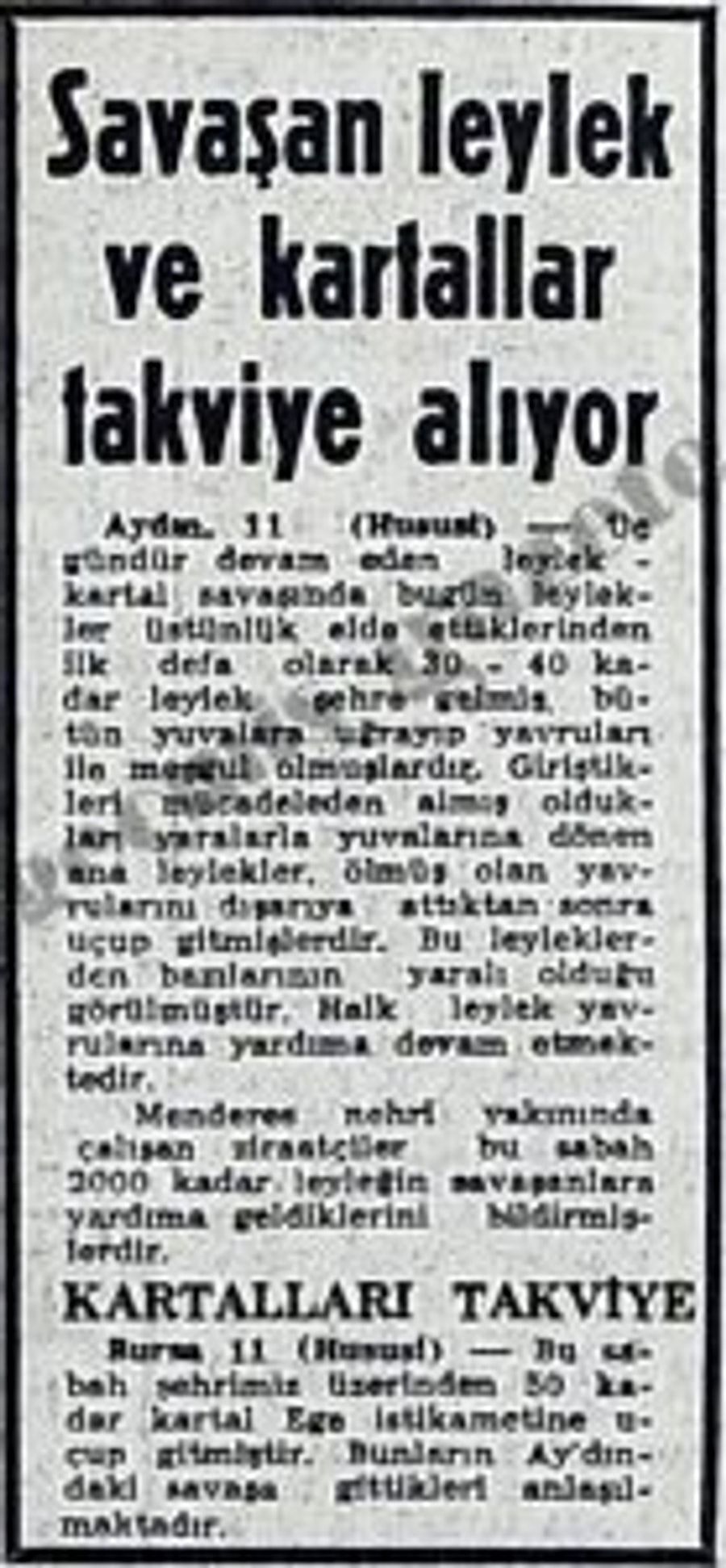 Whatsapp Image 2026 01 10 At 11.36.49 (2)