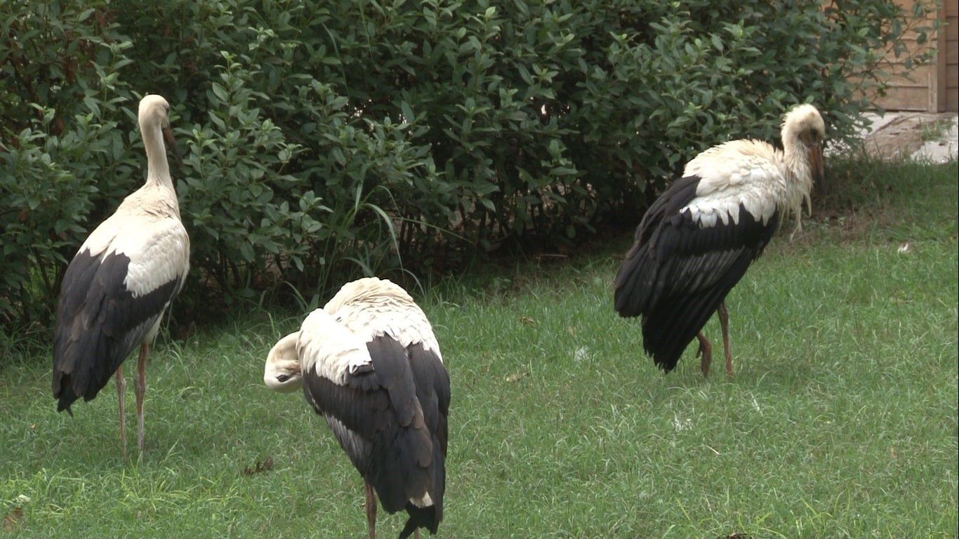 Whatsapp Image 2026 01 10 At 11.36.49 (3)