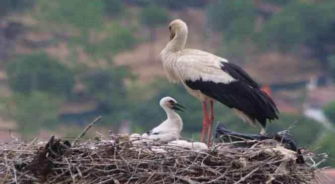 Whatsapp Image 2026 01 10 At 11.36.49 (4)