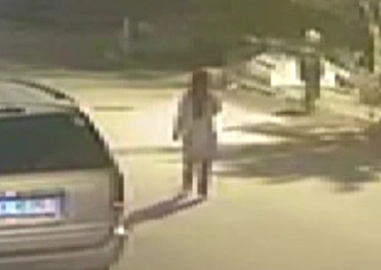 Aranan genç kızın gömülü halde cansız bedeni bulundu