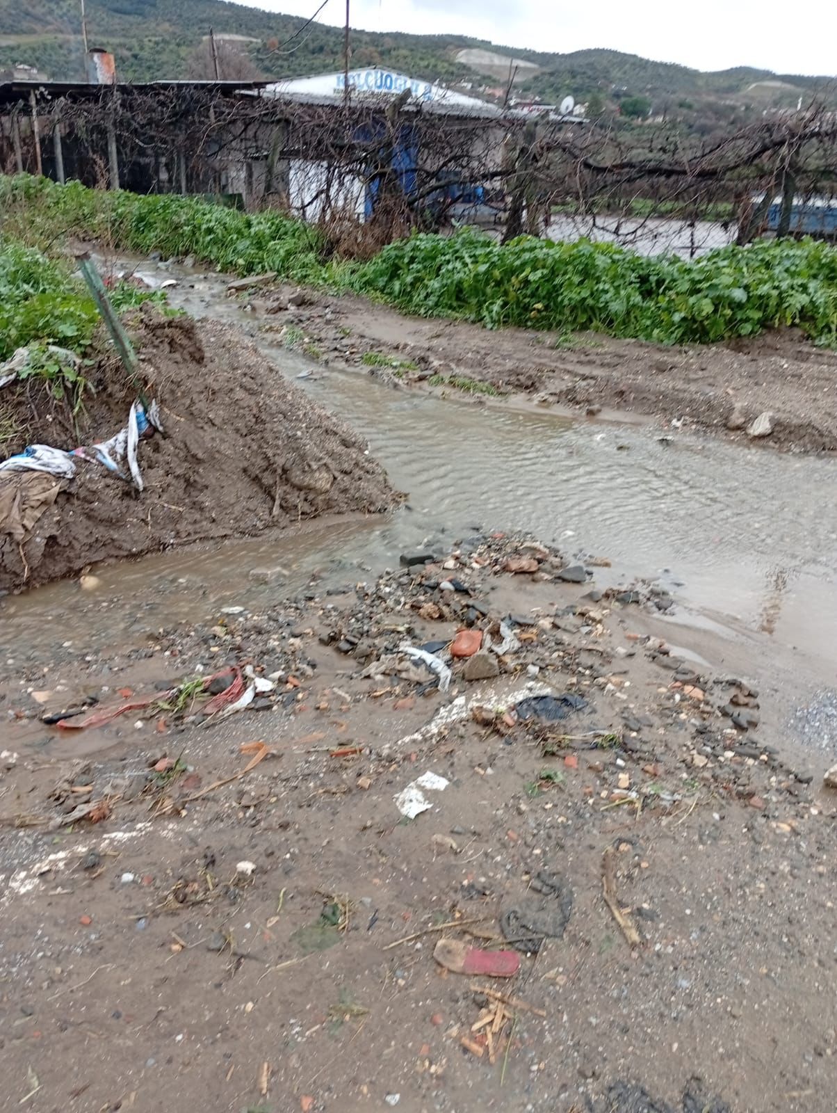 Whatsapp Image 2026 01 20 At 21.50.34 (1)