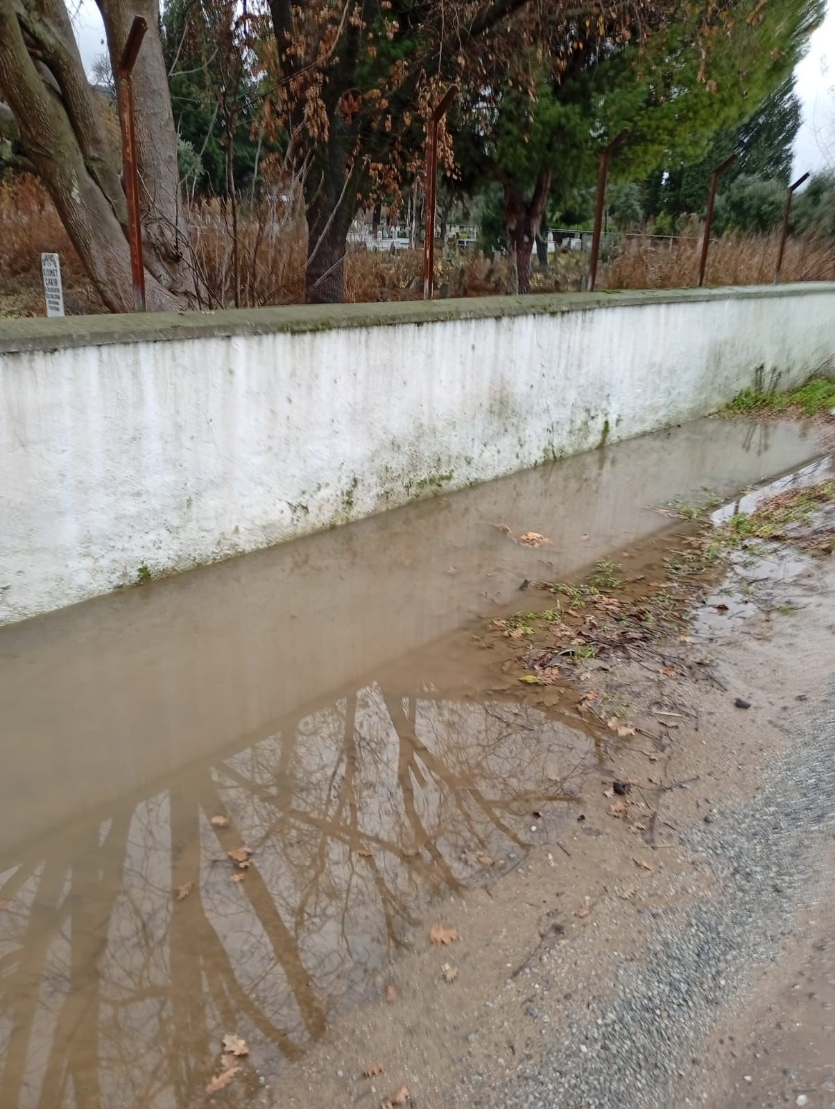 Whatsapp Image 2026 01 20 At 21.50.34