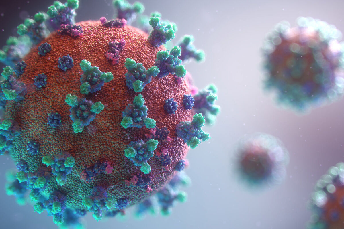 Yeni bir pandemi mi geliyor? Yeni virüs alarmı: Nipah
