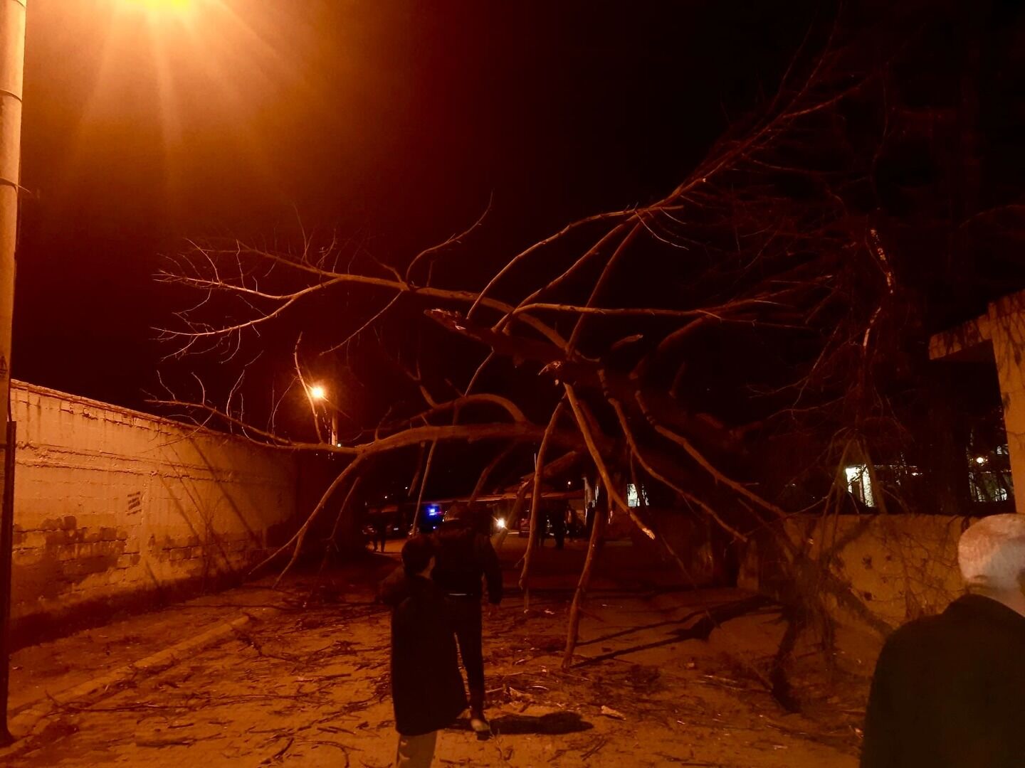 Whatsapp Image 2026 01 29 At 22.47.08