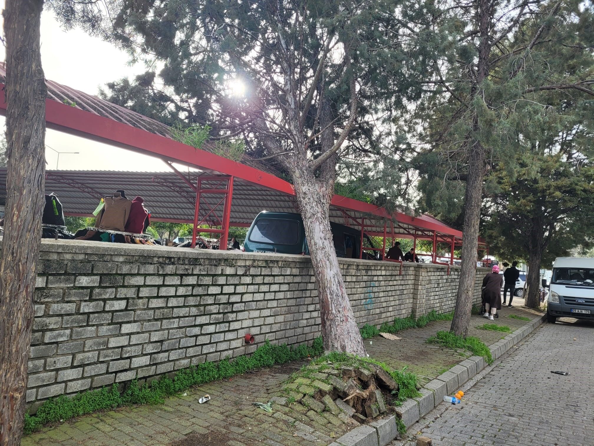 Aydın’da korkutan anlar! Ağaç pazaryerine devrildi
