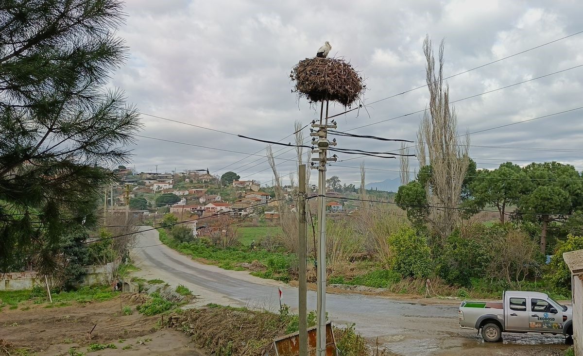 A W647068 06