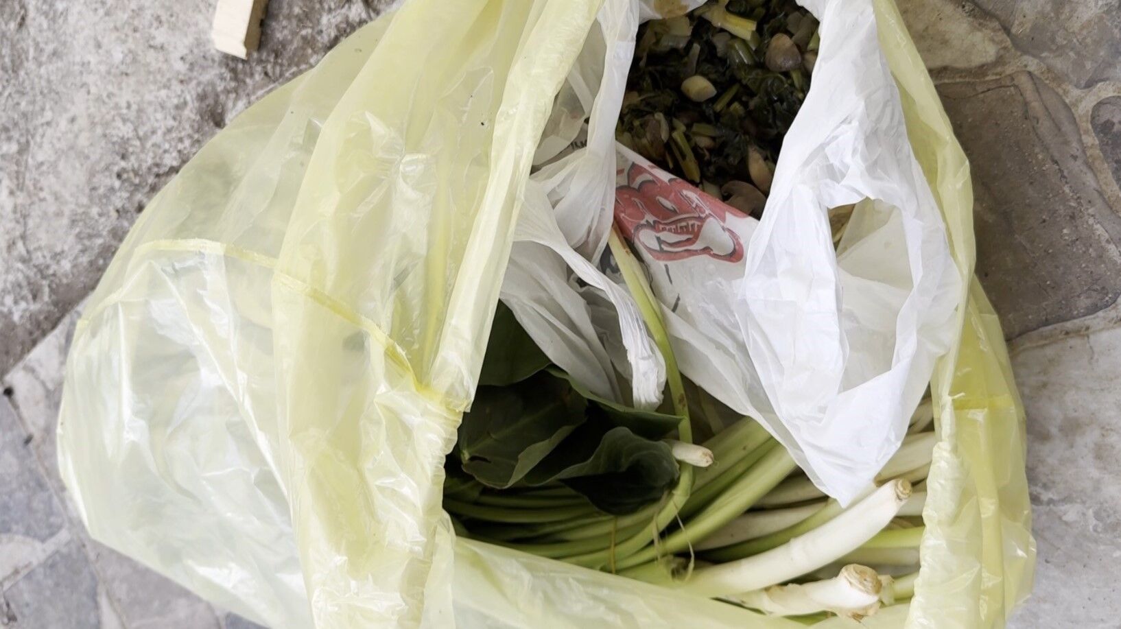 Pazardan aldıkları ürün doktor çifti ölümden döndürdü