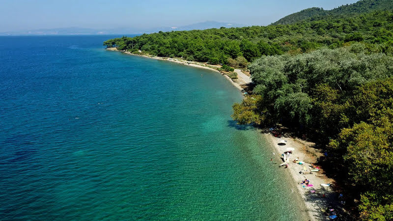 Aydın Davutlar Sahil