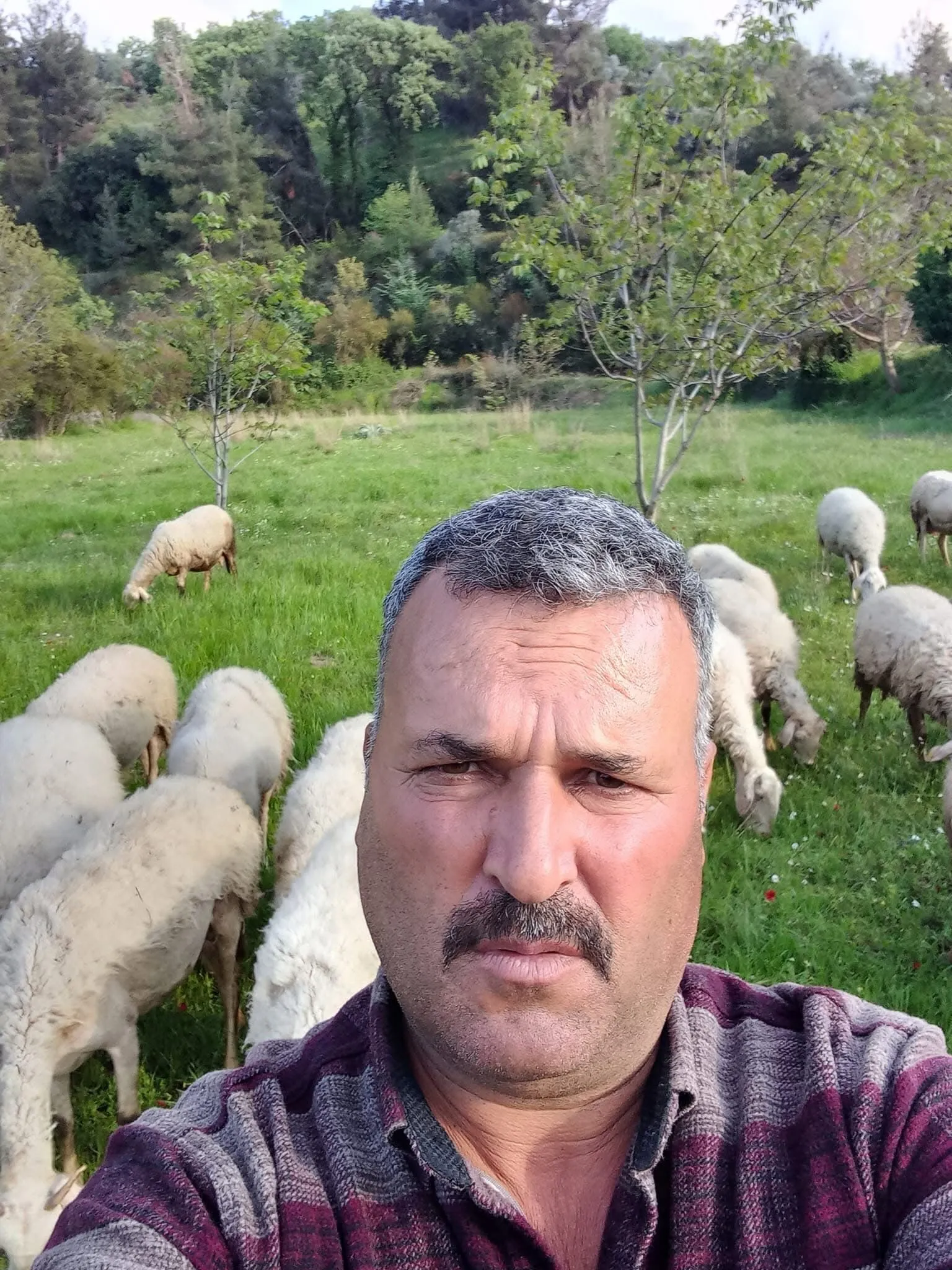 Aydın'da yetiştiriciler kaldırılan karantinayı değerlendirdi