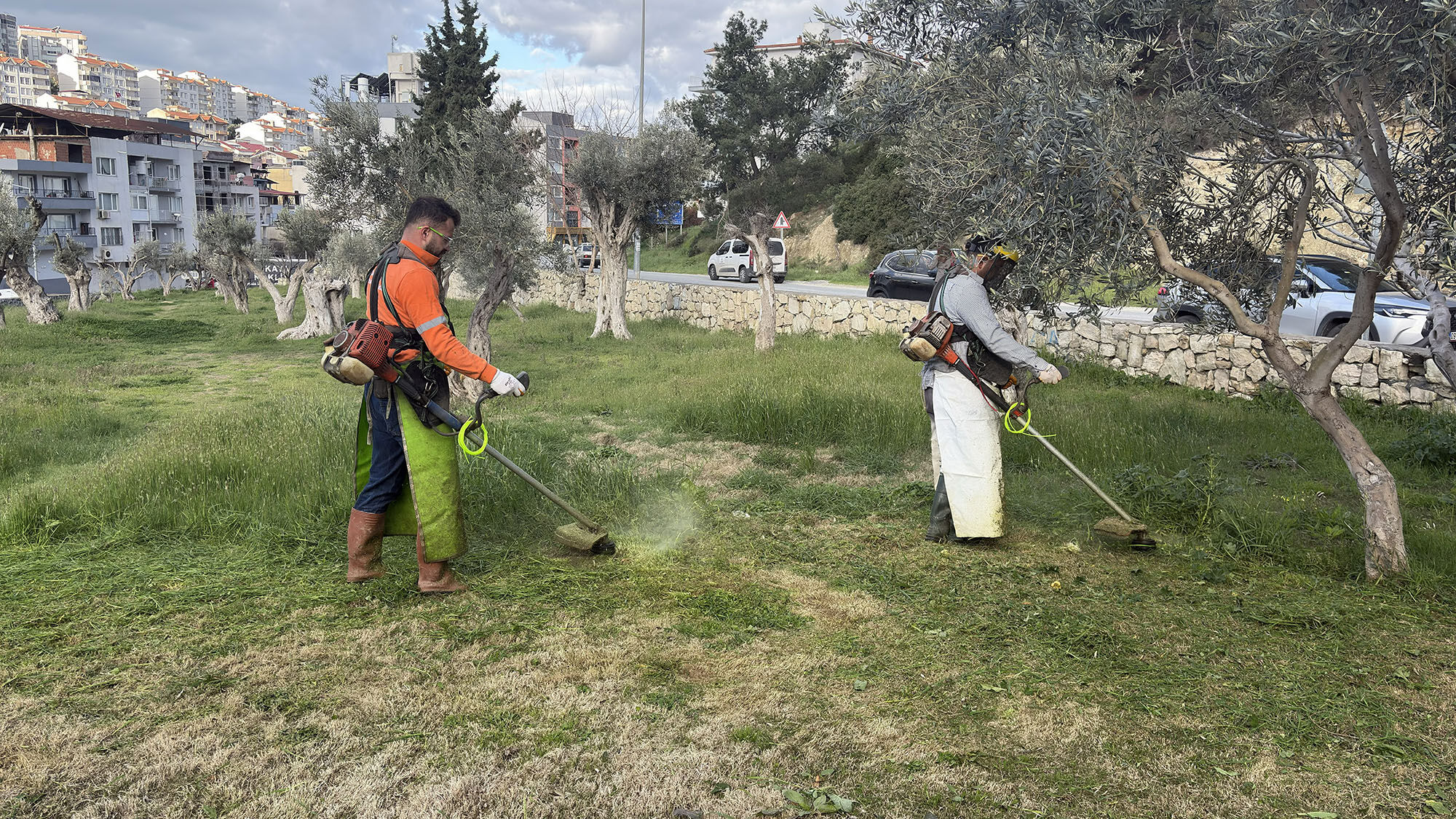 Kusadasi Belediyesi Daha Temiz Ve Daha Yesil Bir Kent Icin Calisiyor 640816 9Be4F05Eb562B37816Fc2D47E592344C