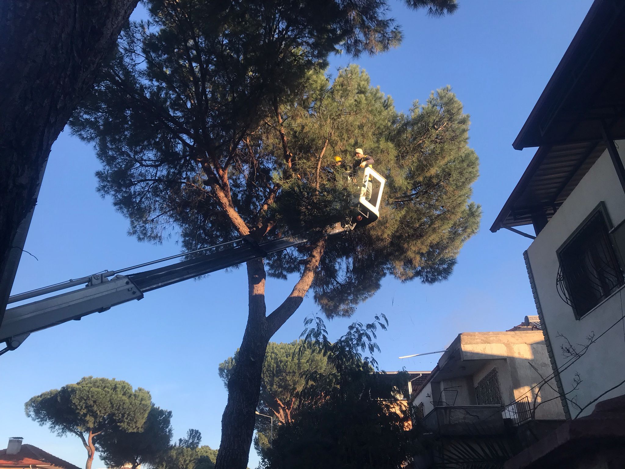 Muhtardan Başkan Çerçioğlu’na hizmet teşekkürü