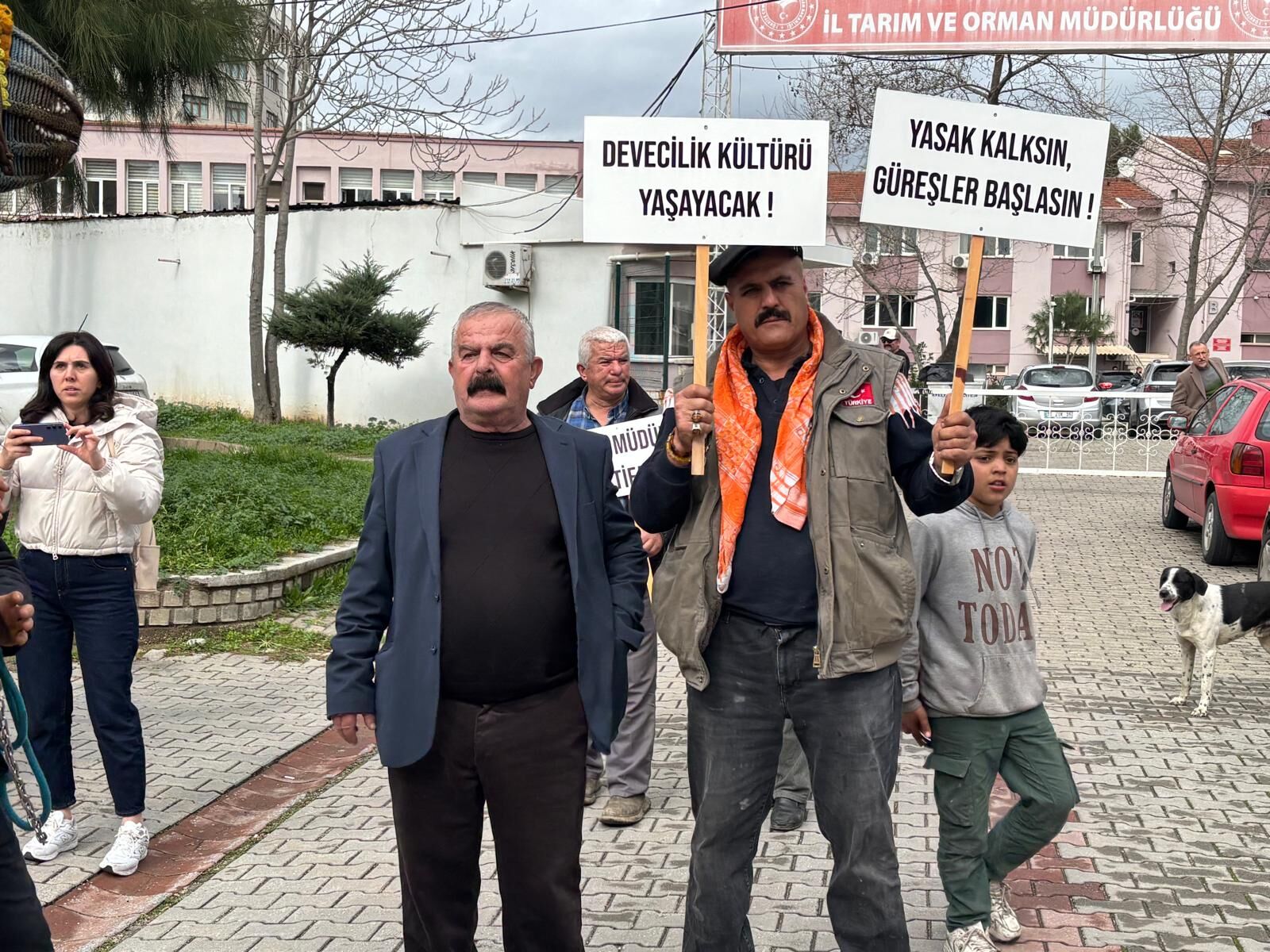 Aydındaki devecilerden dikkat çeken eylem