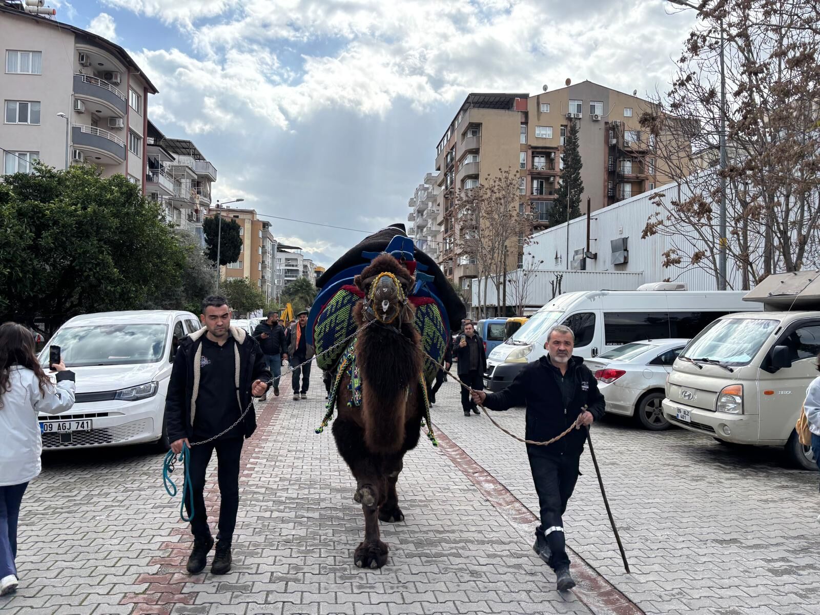Aydındaki devecilerden dikkat çeken eylem