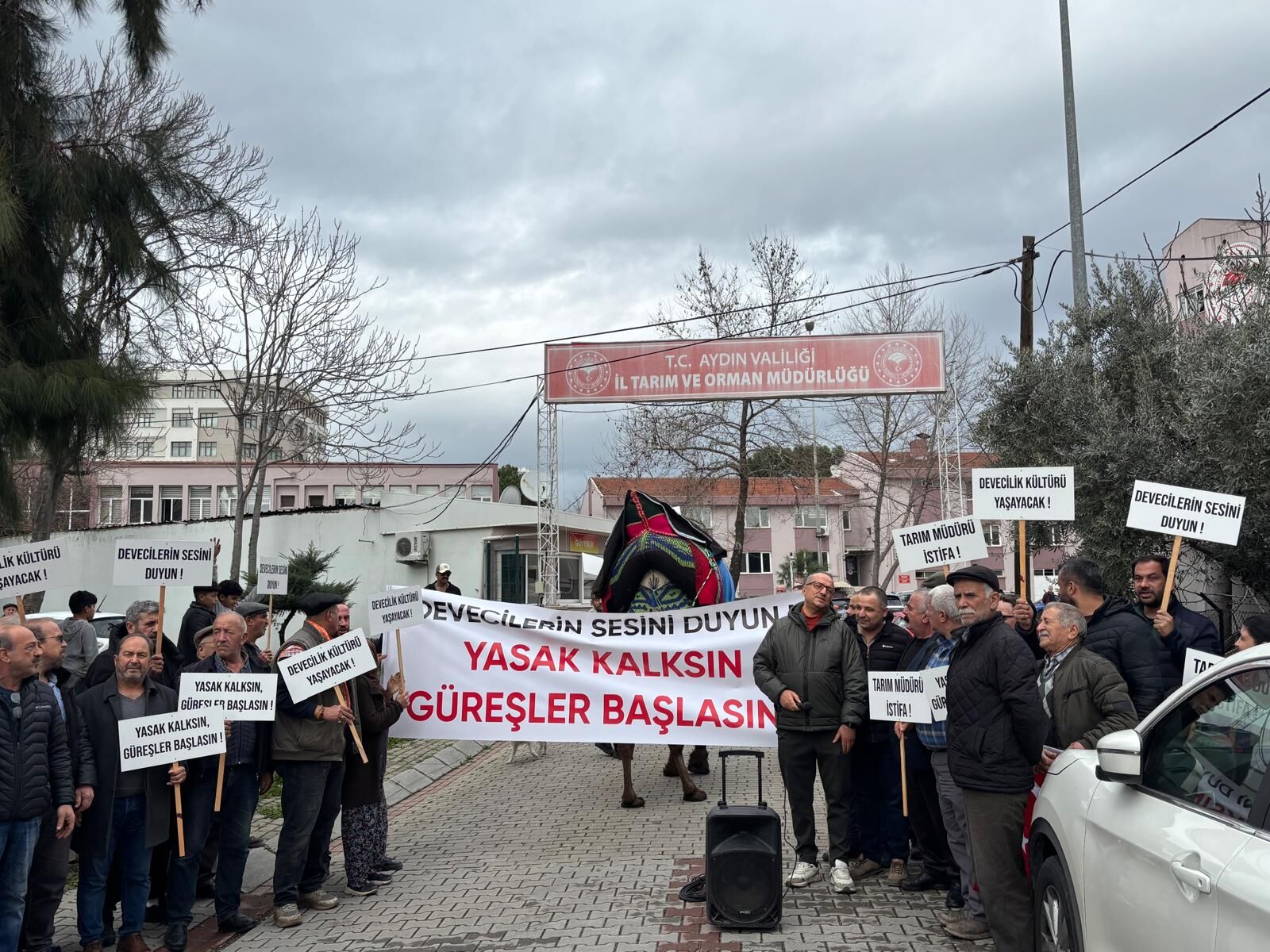 Aydındaki devecilerden dikkat çeken eylem