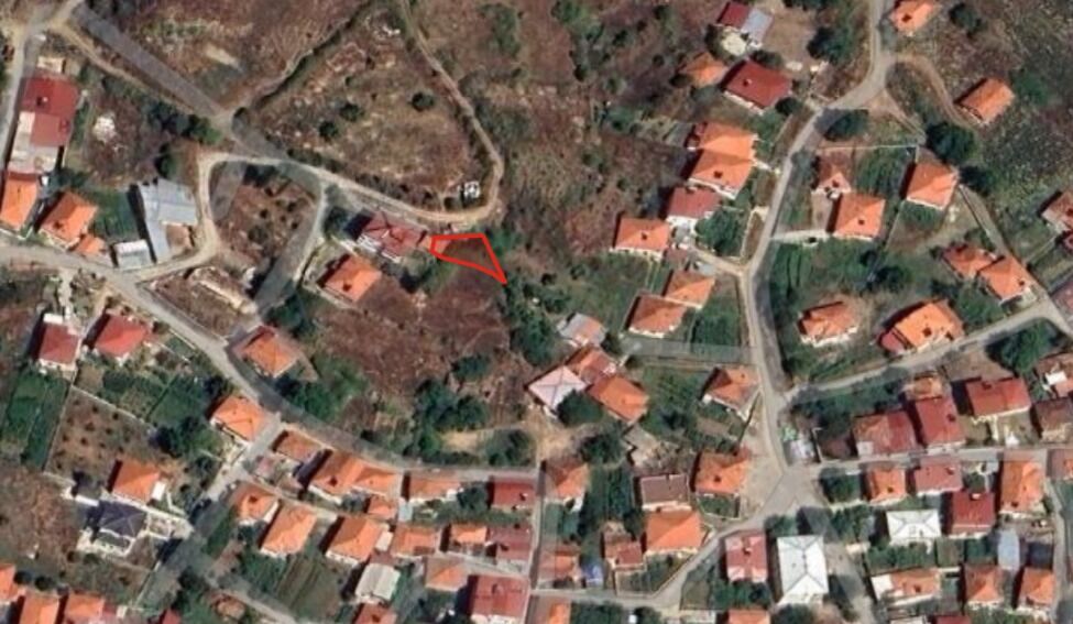 Whatsapp Image 2026 02 21 At 11.47.14 (1)