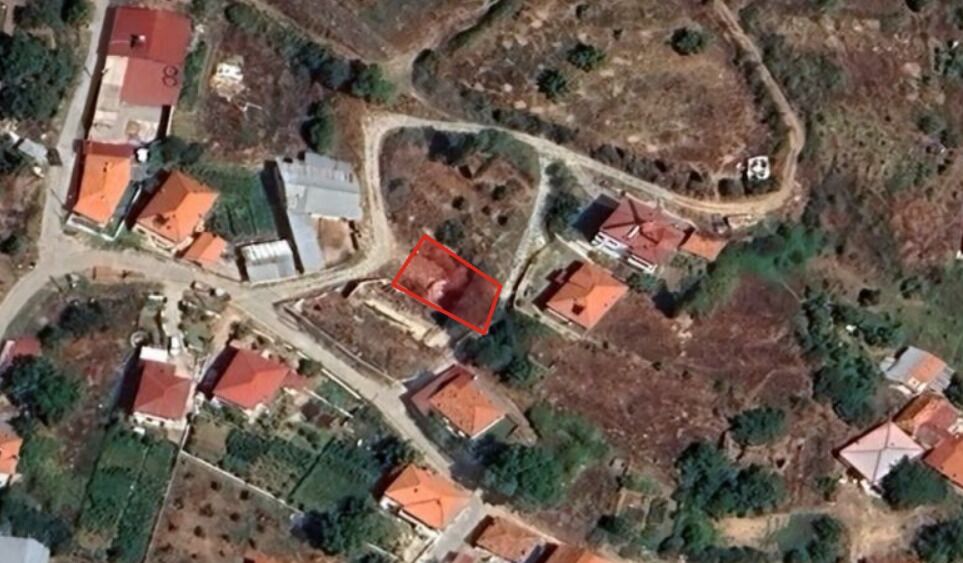 Whatsapp Image 2026 02 21 At 11.47.14