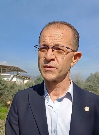 Kuyucak'ta zeytin ağaçları talan ediliyor iddiasına yanıt: Başkan Doğanca işin aslını açıkladı