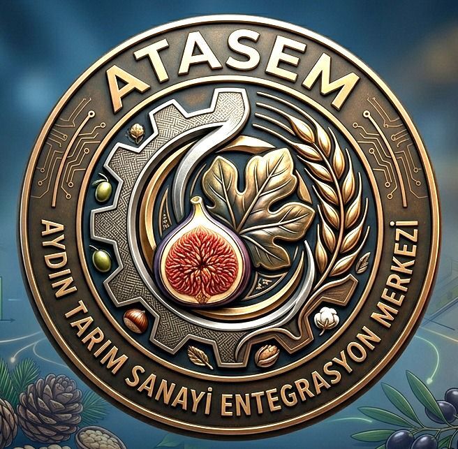 ‘Aydın Modeli’ Ve ‘Che Palle’(!)