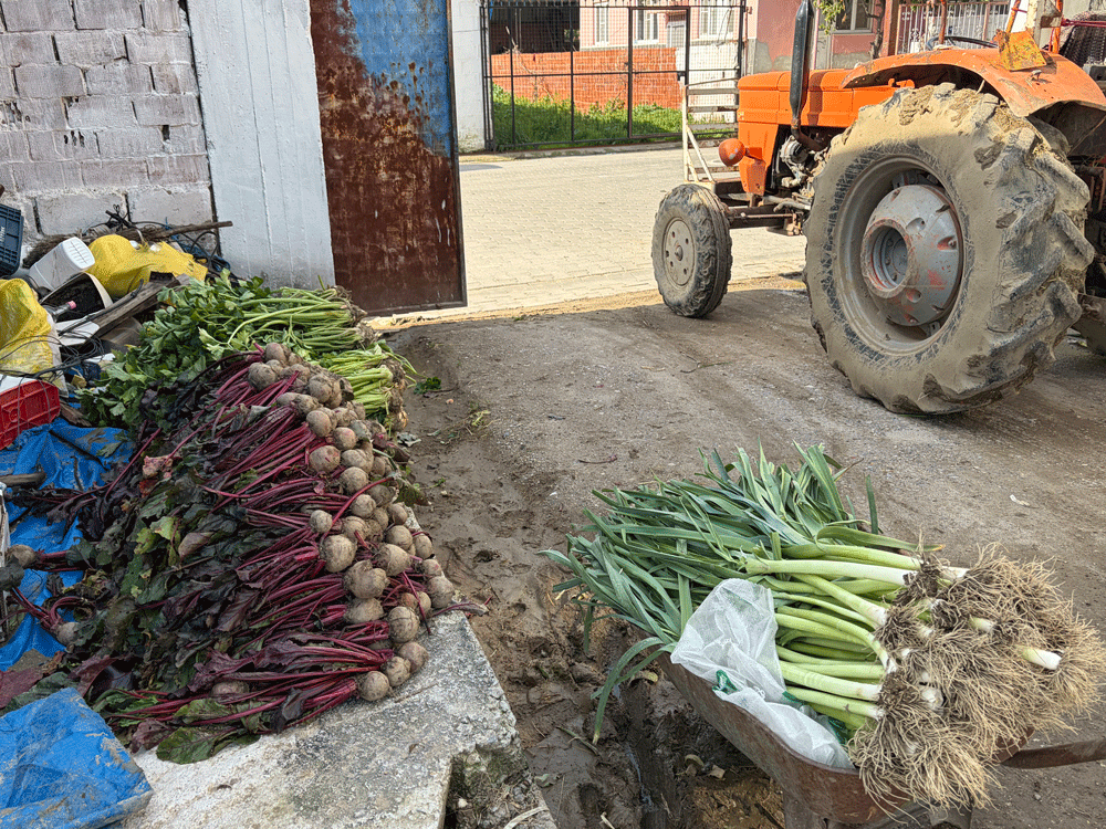 Aydın’da çiftçi anne, kızını ODTÜ’lü yaptı