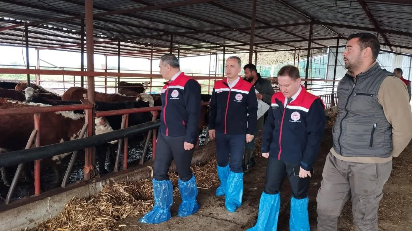 Aydın’da Dev Hayvancılık Desteği (2)