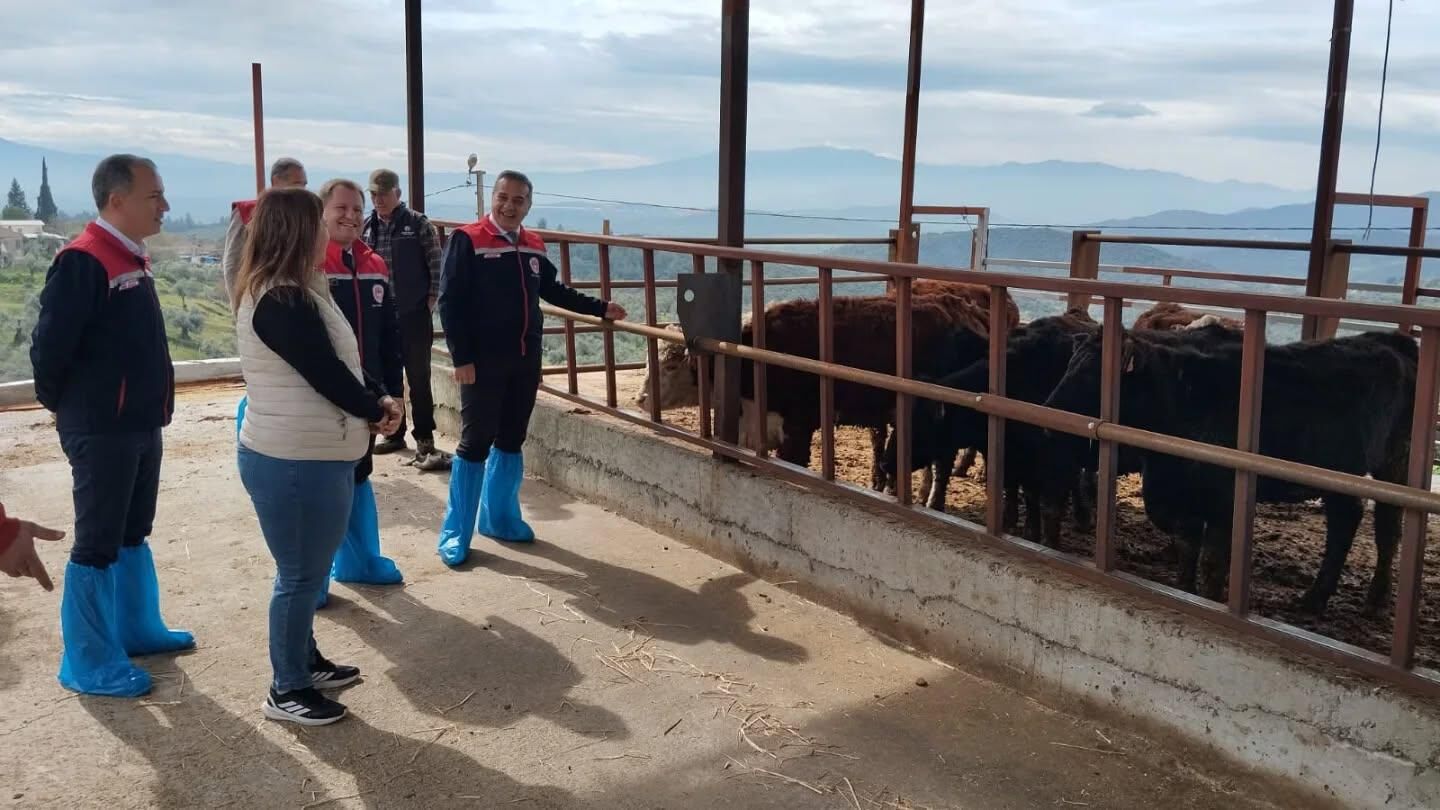 Aydın’da Dev Hayvancılık Desteği (4)